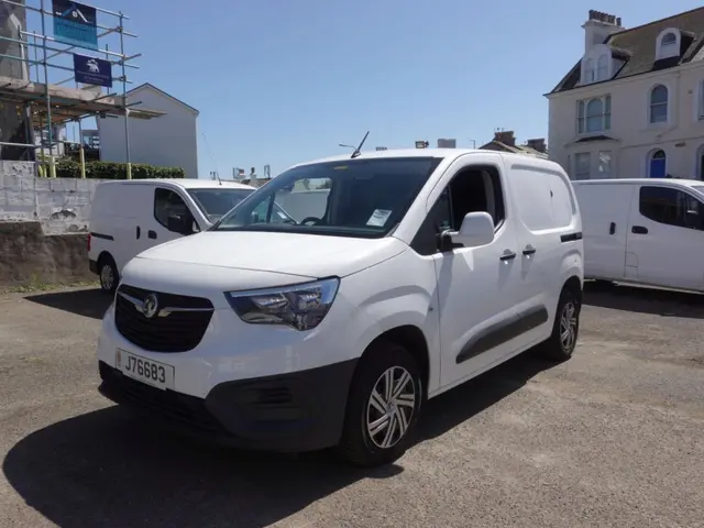 Vauxhall Combo Panel Van 2020