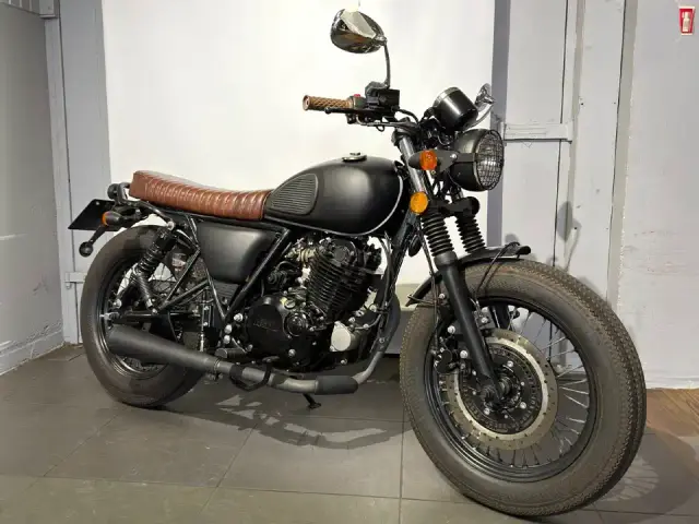 Mutt Mongrel 250